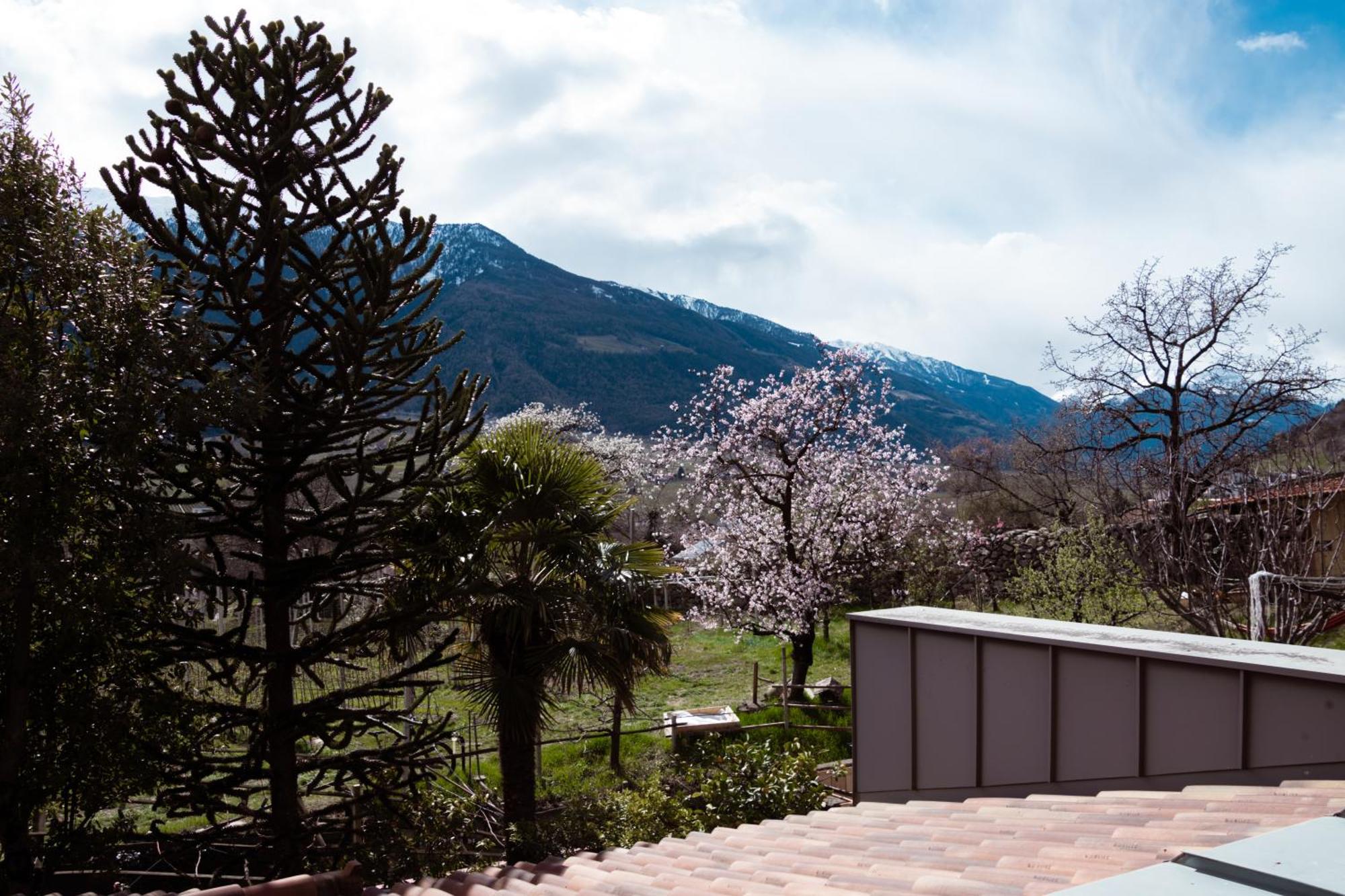 Garni Unterwegguetl Bed and Breakfast Naturns Buitenkant foto