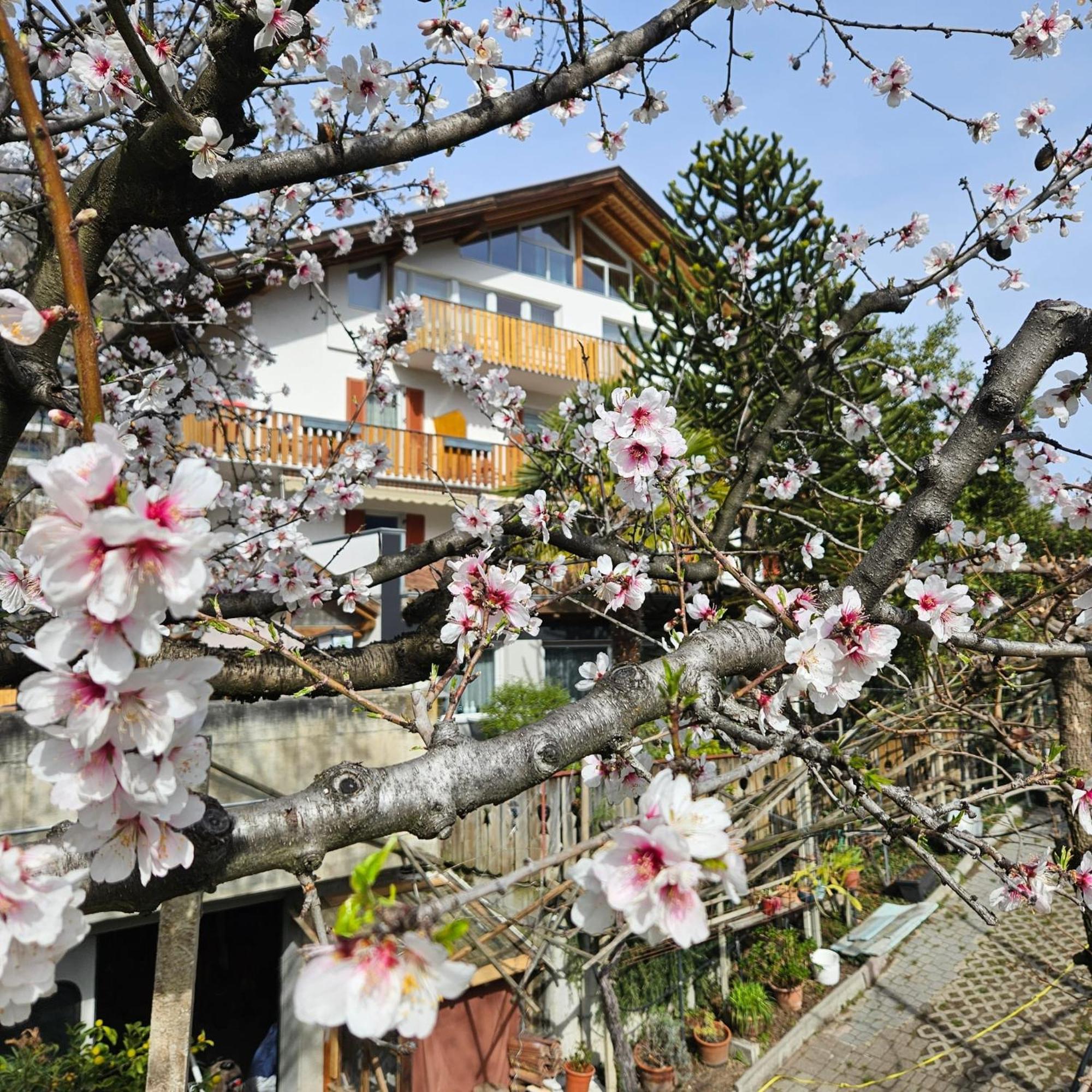 Garni Unterwegguetl Bed and Breakfast Naturns Buitenkant foto